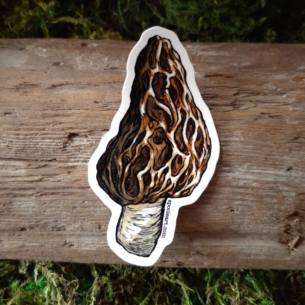 Morel Mushroom Vinyl Sticker