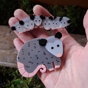 Possum Family Hairclip Set