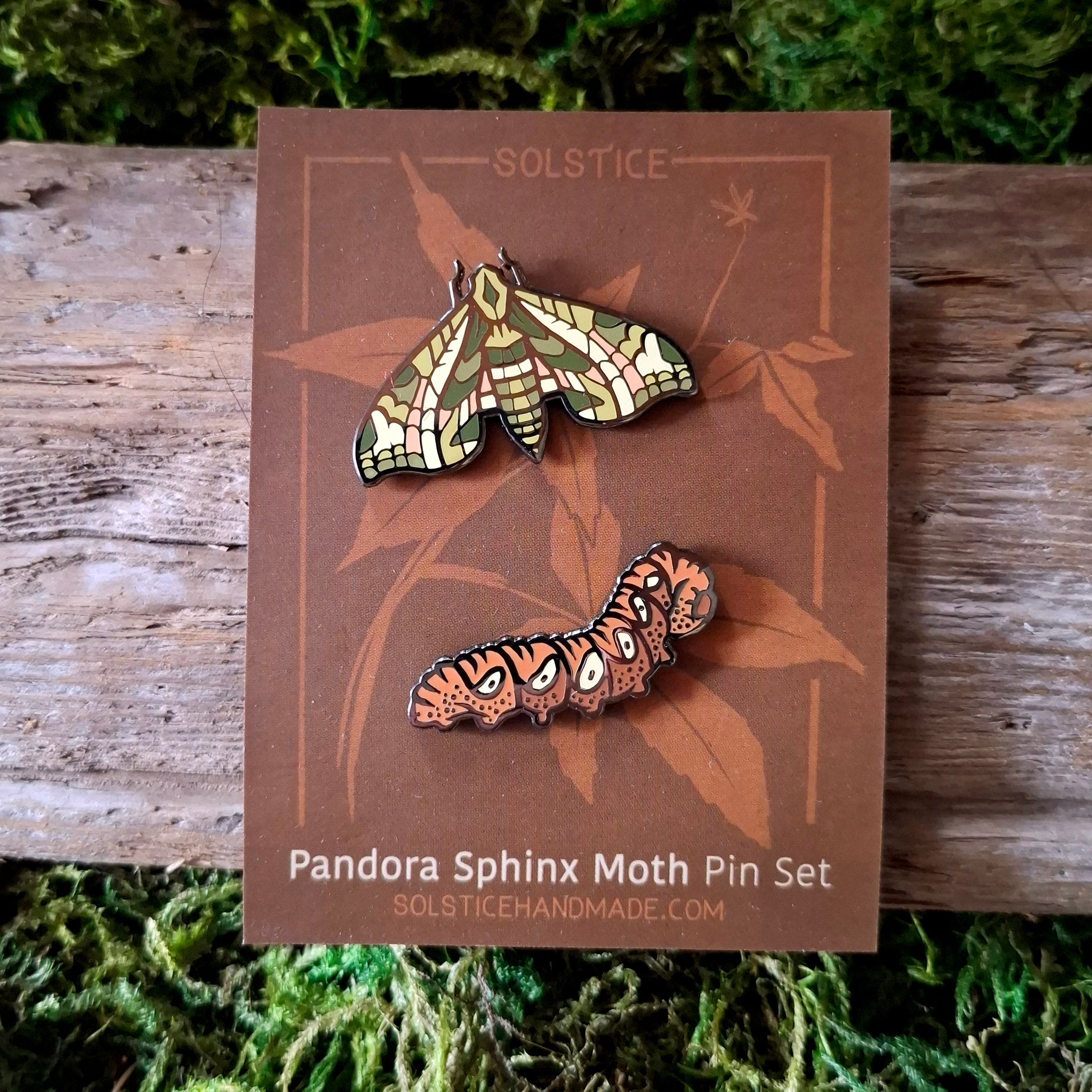 Sphinx Moth Pin Pandora Sphinx Moth Pin Set – Forager Vintage