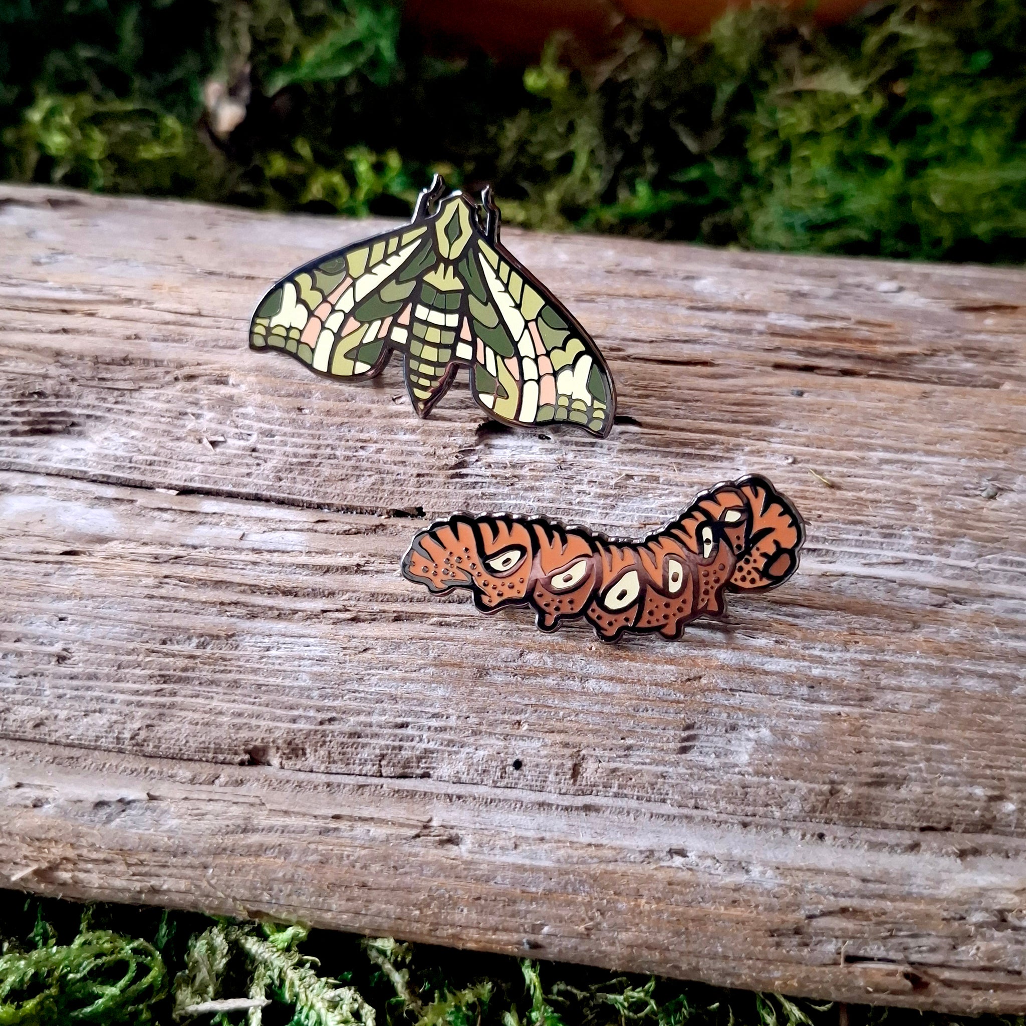 Sphinx Moth Pin Pandora Sphinx Moth Pin Set – Forager Vintage