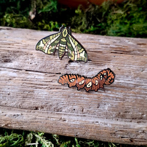 Pandora Sphinx Moth Pin Set