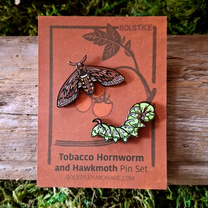 Tomato Hornworm Hawkmoth Pin Set