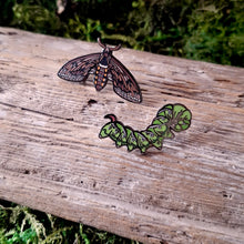 Load image into Gallery viewer, Tomato Hornworm Hawkmoth Pin Set
