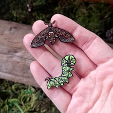 Load image into Gallery viewer, Tomato Hornworm Hawkmoth Pin Set
