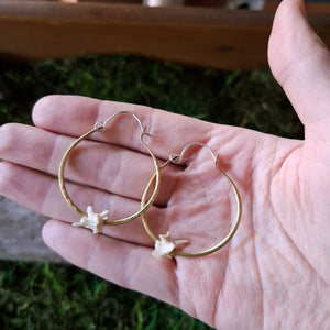 Handmade Brass and Snake Vertebrae Earrings