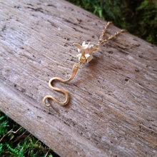 Load image into Gallery viewer, Handmade Brass and Snake Vertebrae Necklace
