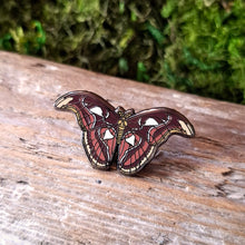 Load image into Gallery viewer, Atlas Moth Enamel Pin
