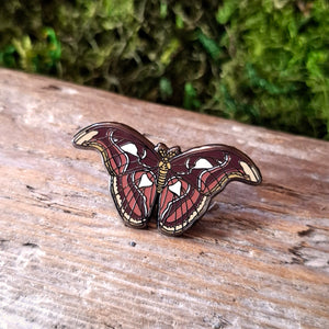 Atlas Moth Enamel Pin