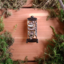 Load image into Gallery viewer, Mysterious Fish Specimen Enamel Pin
