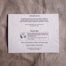 Load image into Gallery viewer, Opossum Stockings Plantable Greeting Card
