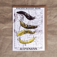 Load image into Gallery viewer, Banana Slug Ripeness Chart Greeting Card
