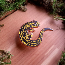 Load image into Gallery viewer, Salamander King Enamel Pin

