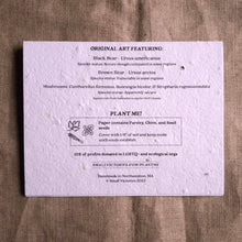 Load image into Gallery viewer, Bear Foragers Plantable Greeting Card
