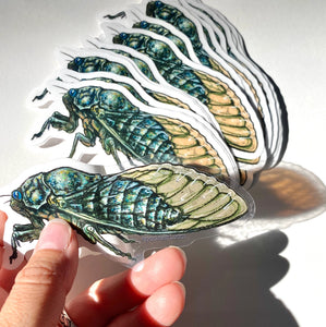 Cicada Semi-Transparent Vinyl Sticker