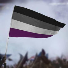 Load image into Gallery viewer, Asexual (Ace) Pride Flag
