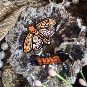 Isabella Tiger Moth and Woolly Bear Pin Set