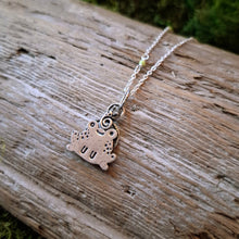 Load image into Gallery viewer, Frog &amp; Snail Sterling Silver Pendant

