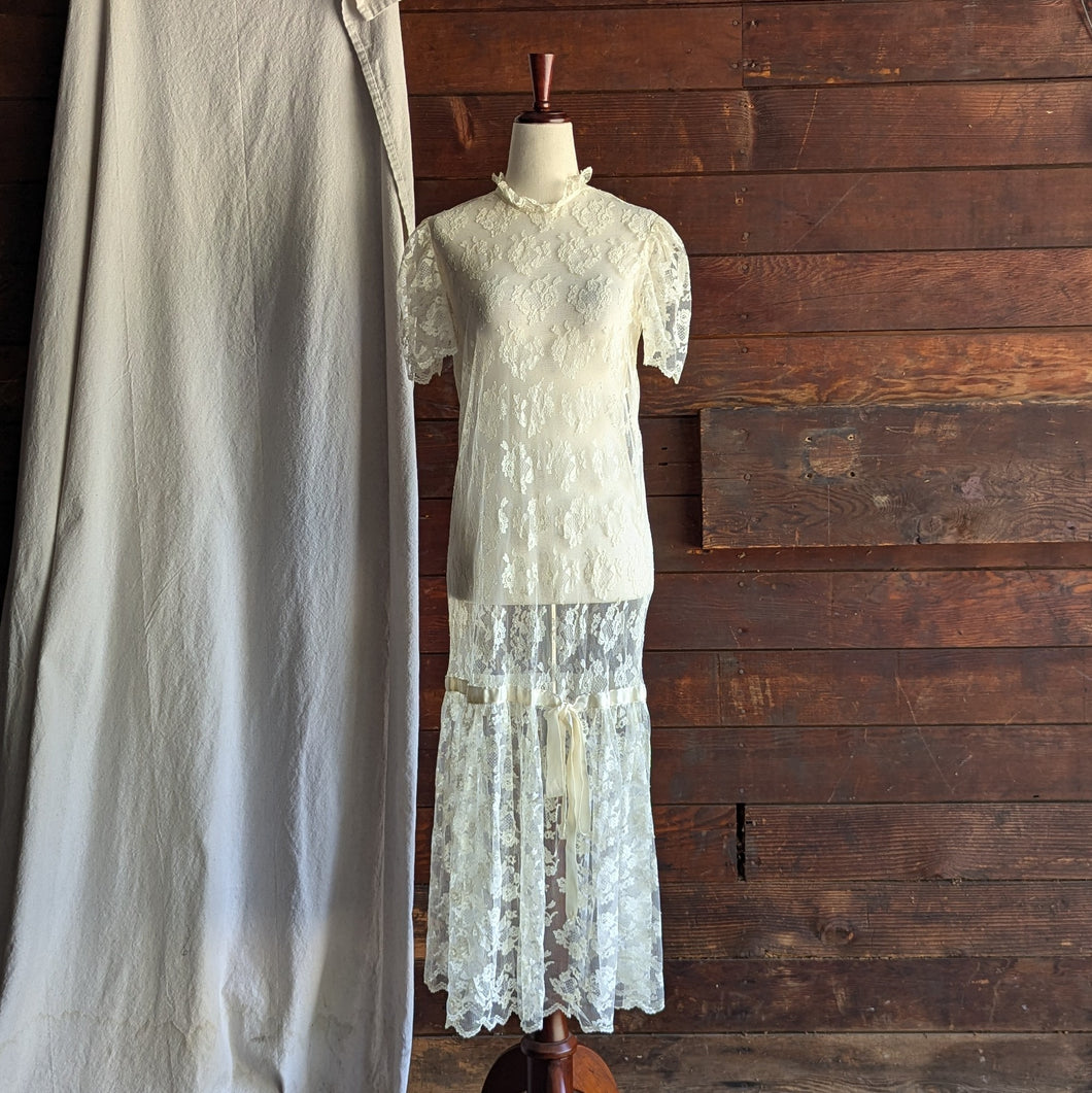 Vintage Sheer Lace Drop-waist Dress