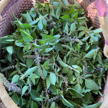 Load image into Gallery viewer, Basket filled with fresh basil cuttings, with green leaves and small purple flowers
