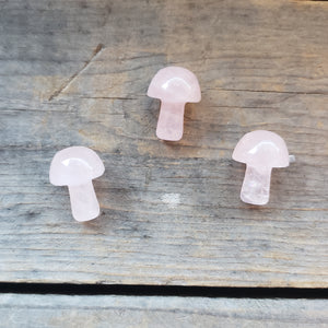 Tiny Polished Crystal Mushroom Pocket Stones