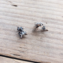 Load image into Gallery viewer, Sterling Silver Fly Stud Earrings
