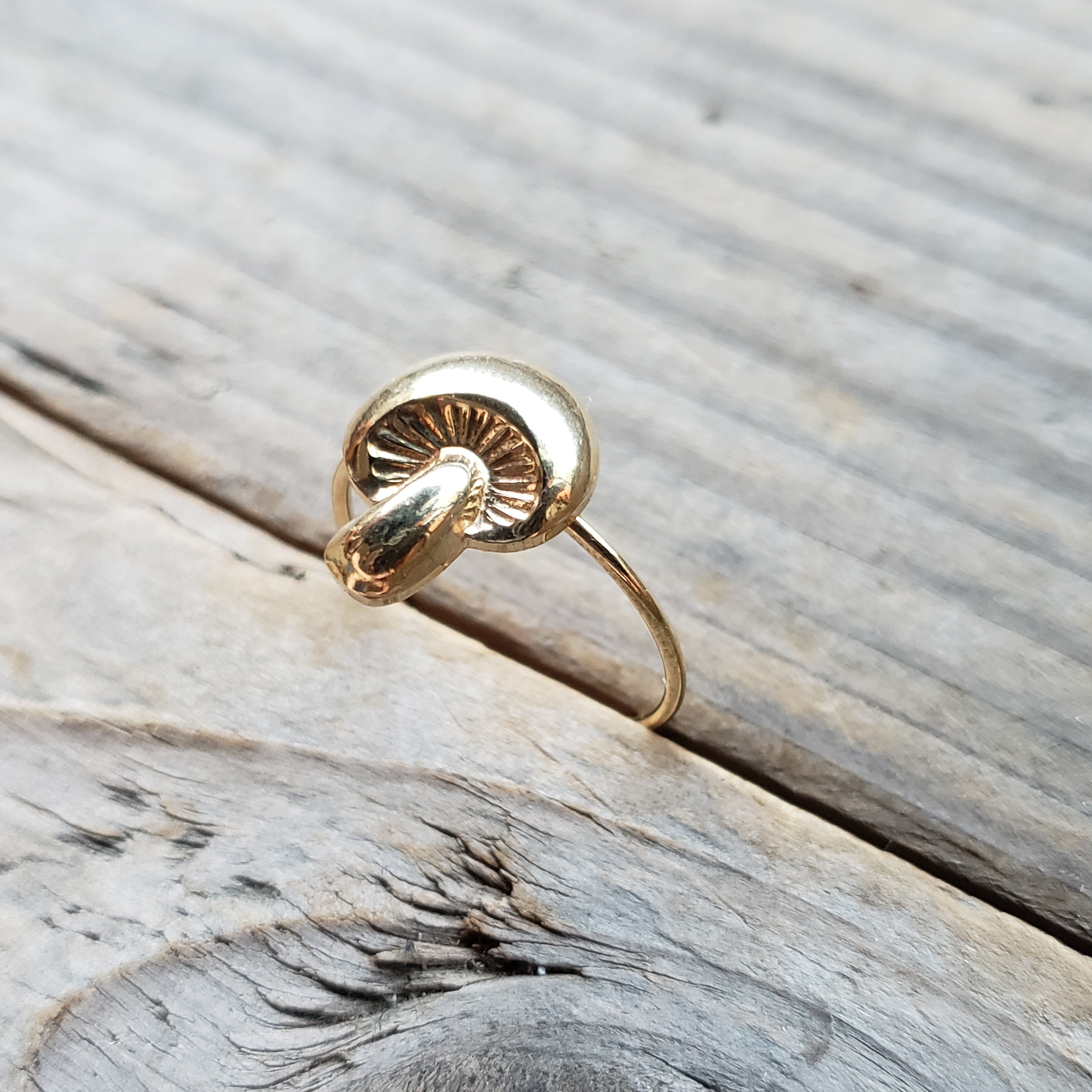 Round Mushroom Brass Ring