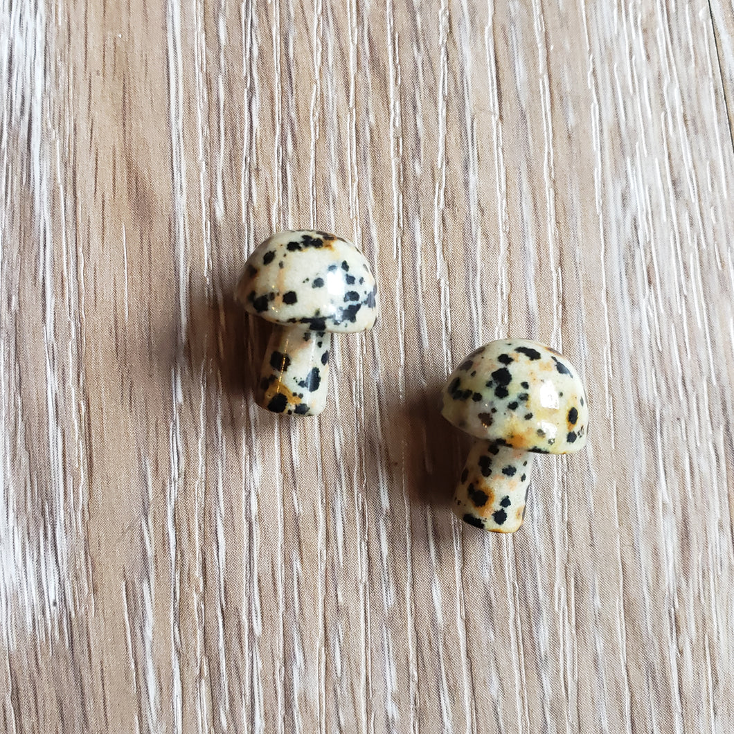 Tiny Polished Crystal Mushroom Pocket Stones