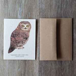"Northern Saw-Whet Owl" Plantable Greeting Card