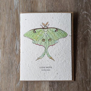 "Luna Moth" Plantable Greeting Card