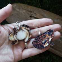Load image into Gallery viewer, Southern Toad Wooden Earrings
