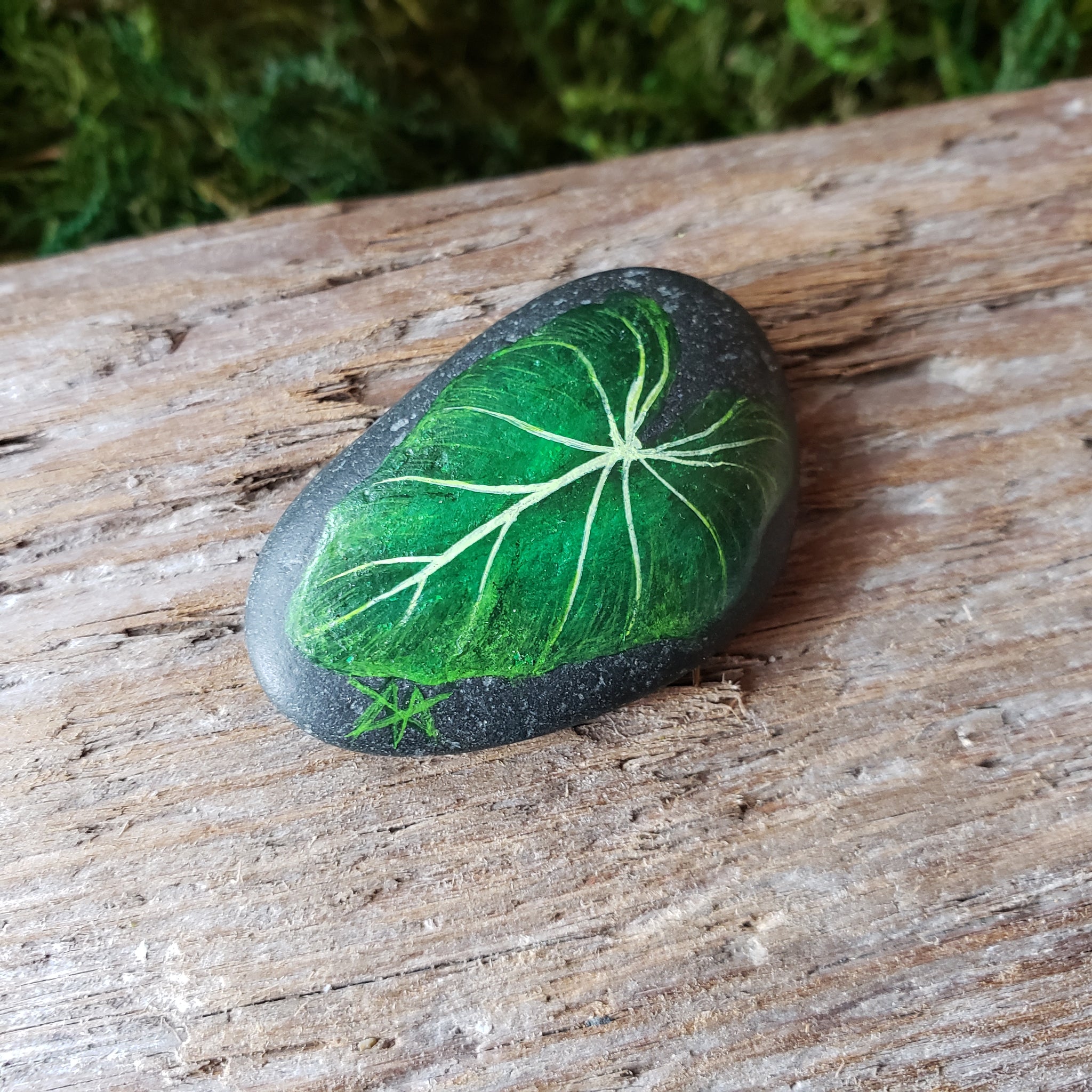 monstera vintage Monstera Painted River Stone – Forager Vintage