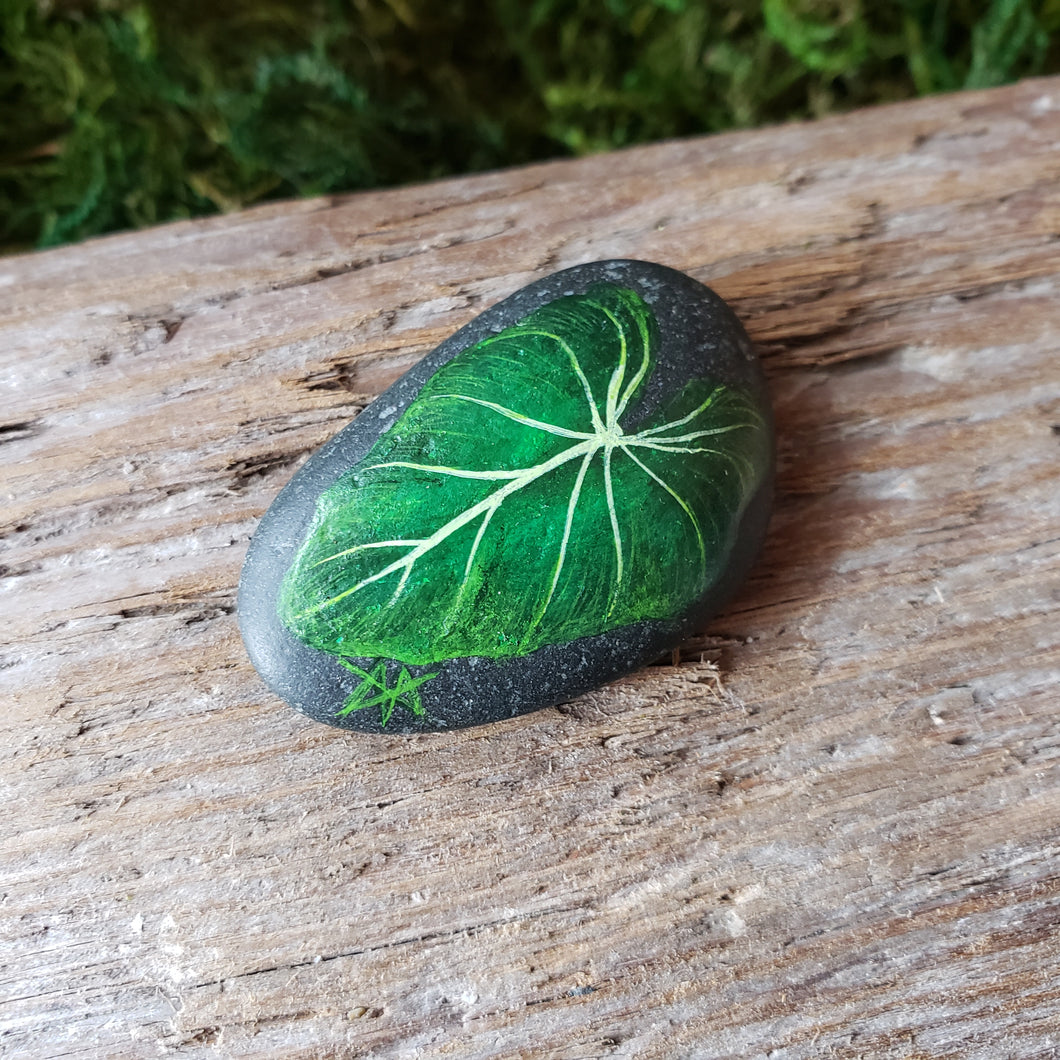 Monstera Painted River Stone
