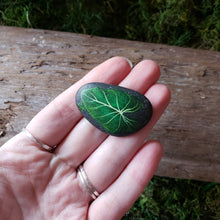 Load image into Gallery viewer, Monstera Painted River Stone
