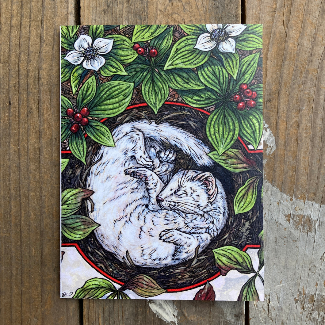 Slumbering Stoat Greeting Card